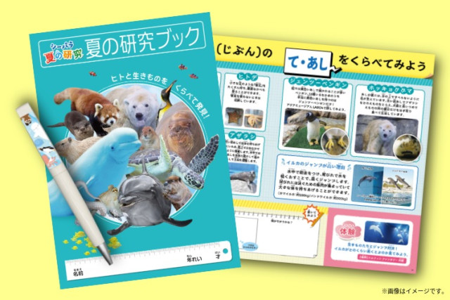 夏の研究ブック